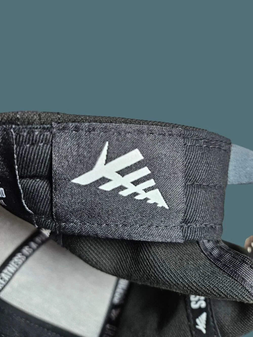 Paper Planes Icon II Dad Twill Hat OSFM